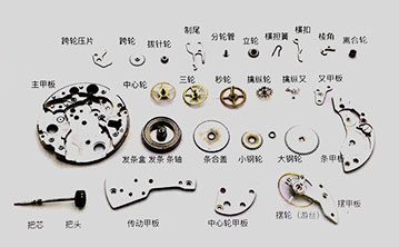 表带-劳力士维修保养售后服务中心